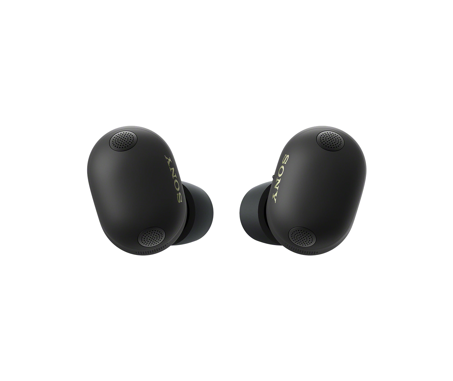 WF-1000 XM6WF-1000 XM6