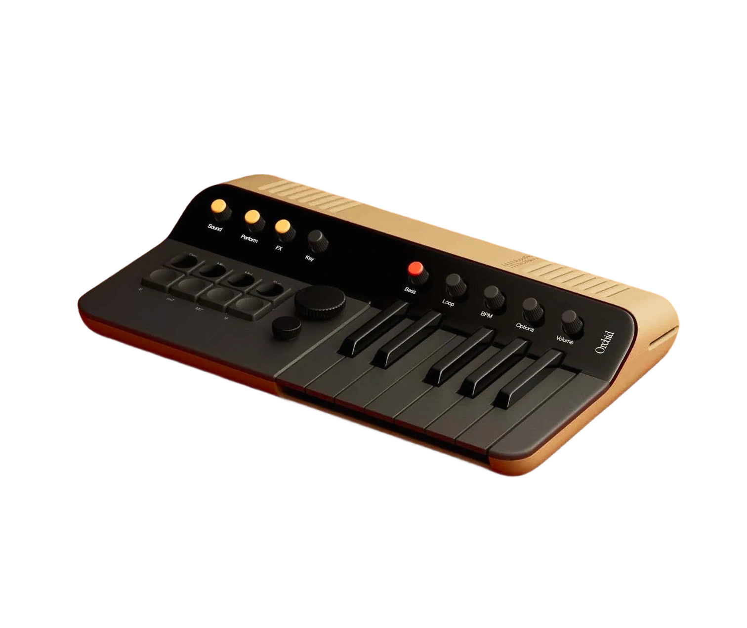 Orchid Orc 1Orchid Orc 1